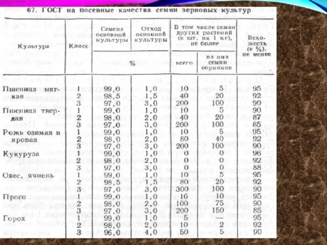 Определение всхожести семян культурных растений. Сроки прорастания семян подсолнечника. Таблица всхожести семян зерновых культур. Всхожесть семян пшеницы. Всхожесть семян подсолнечника по ГОСТУ.