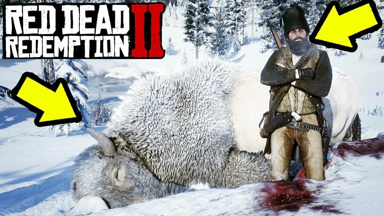 Белый Бизон rdr 2. Легендарный бизон рдр