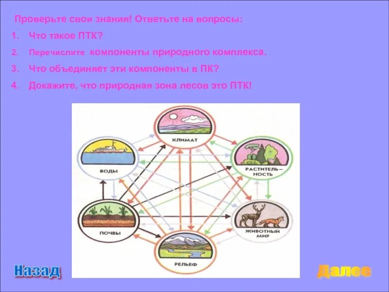 Компоненты природно территориального комплекса. Схема природного комплекса. Схема природного территориального комплекса. Взаимосвязь компонентов природы. Примеры взаимосвязей между компонентами природы в тайге