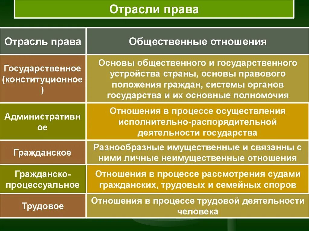 Какие есть отрасли общества