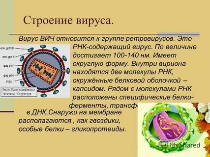 Вич относится к