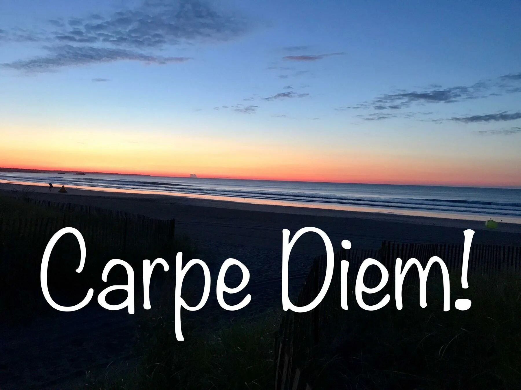 Дем перевод. Карпе Дием. Надпись Карпе Дием. Красивая надпись Carpe Diem. Carpe Diem обои на телефон.