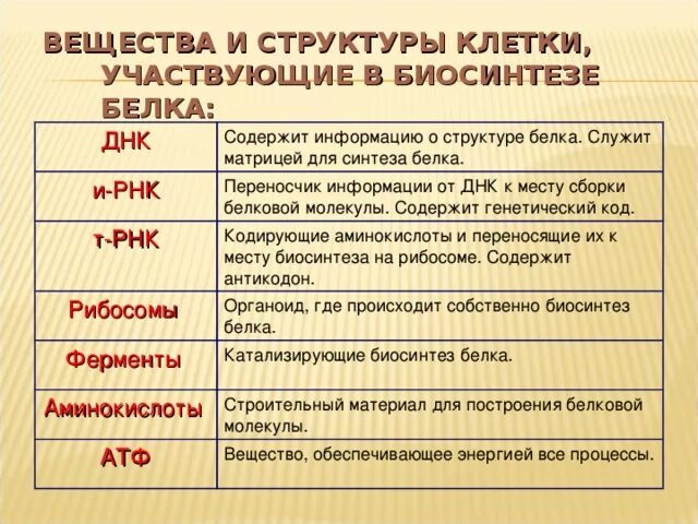 Днк участвует в биосинтезе рнк. Роль ДНК В биосинтезе белка. ДНК Ооль вбиосинтезе белка. Роль биосинтеза белка. Структуры участвующие в биосинтезе белка.