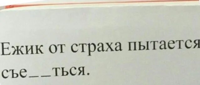 Ежик от страха