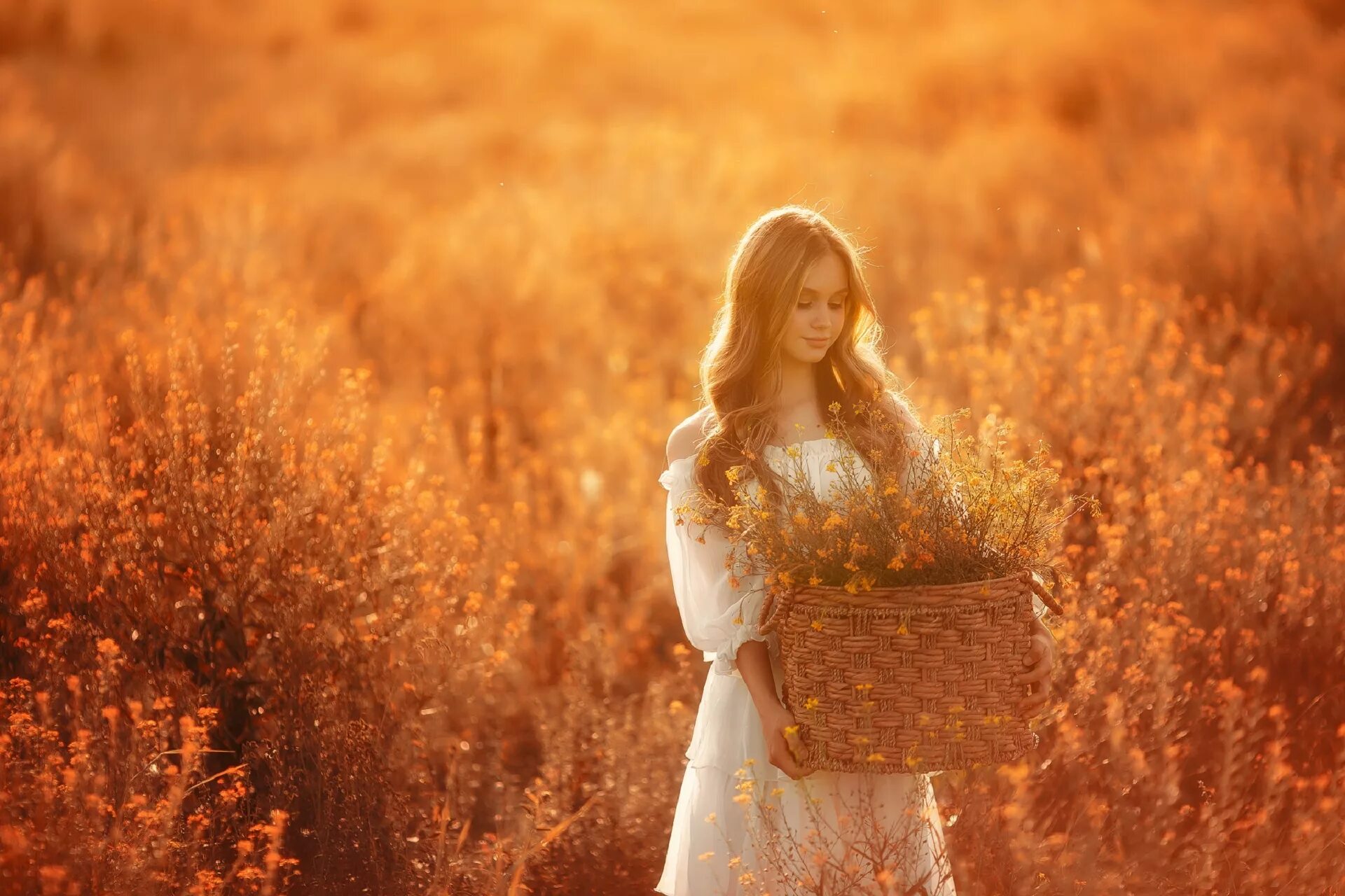 Девица поли. Красивая фотосессия в поле. Девушка в поле. Девушка в поле. Женщина в пшеничном поле.