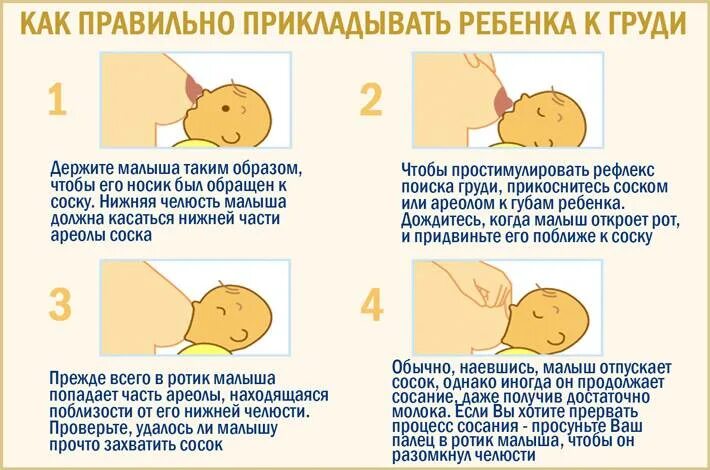 Как правильно кормить новорожденного грудным молоком лежа на боку. Евхаристия богослужение. Правильный захват при кормлении грудничка. Первые прикладывание новорёжденного к круги. Иконы в храме.