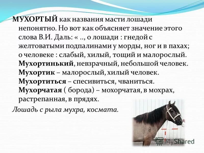 Функция называется ограниченной на множестве х. Как называют ограниченного человека. Как называют ограниченного человека. Функции в жизни человека. Применение функции в жизни.