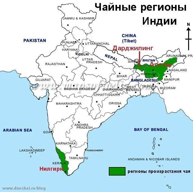 Хаджистан страна где. Чайные плантации в Индии на карте. Нилгири на карте Индии. Чайные регионы Индии. Дарджилинг Индия на карте Индии.