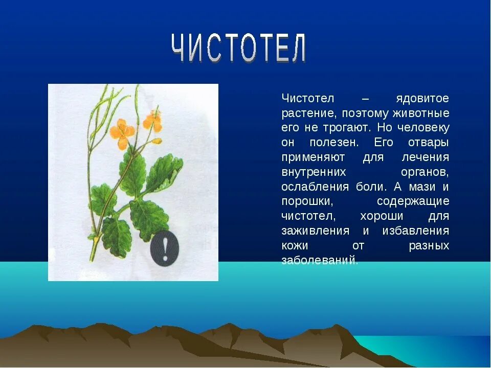 Доклад на тему лекарственную. Ядовитые растения доклад. Доклад о растениях. Сообщение на тему ядовитые растения. Рассказ о растении.