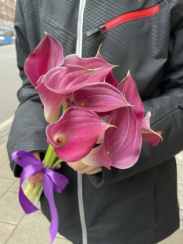 Нежные каллы для любимой девушки. Каллы 19 штук букет. Букет калл в упаковке. Каллы цветы москва. Букет из 19 калл.