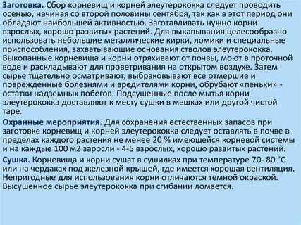 Мытье корнеплодов допускается
