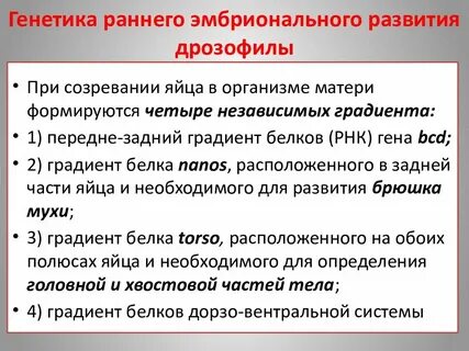 Генетика и эволюция