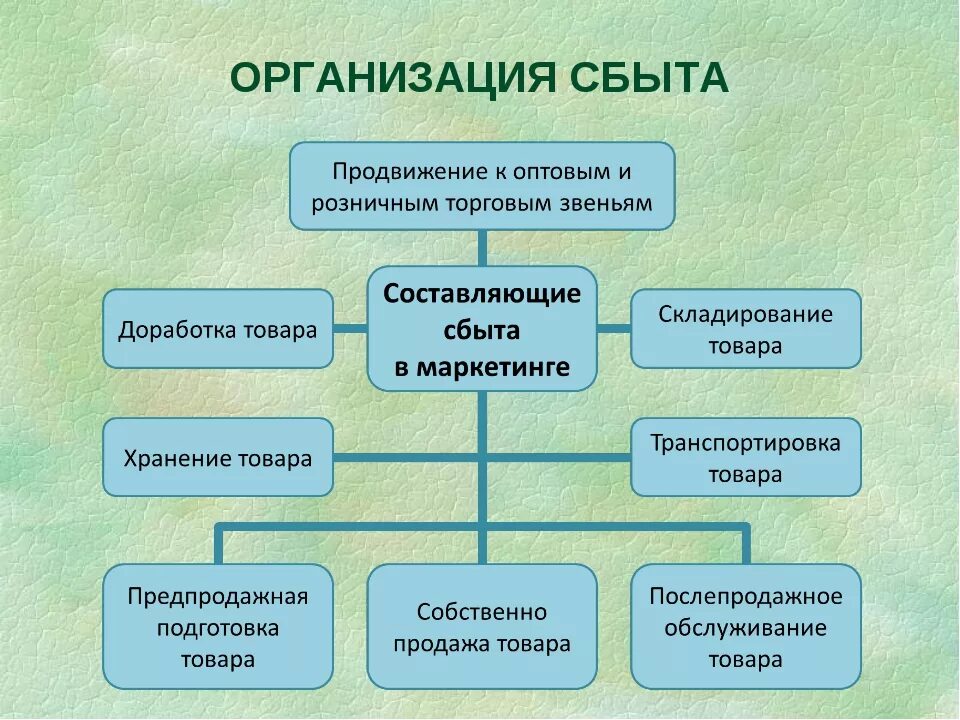 Организация торгово сбытовой деятельности организации. Организация сбыта продукции. Система сбыта продукции на предприятии. Схема сбыта продукции. Схема организации сбытовой деятельности.