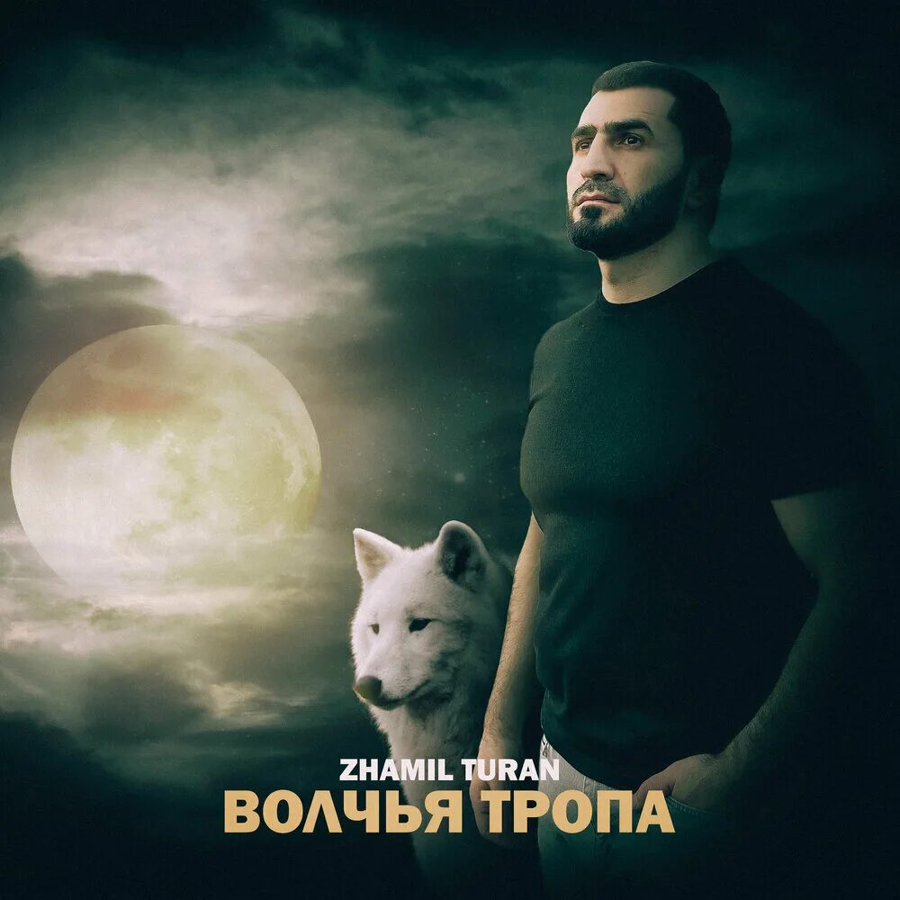 Волчья тропа. Волчья тропа аудиокнига. Туран Волчья тропа. Zhamil Turan фото. Там где бушуют ветра zhamil