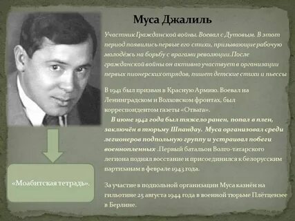 Муса джалиль стих ромашка