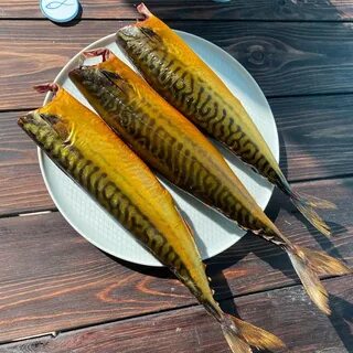 Копченая скумбрия рецепт холодного копчения