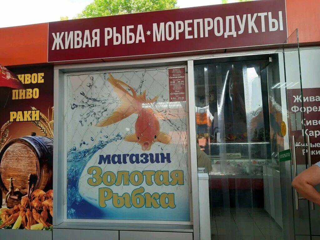 Зоомагазин золотая рыбка мурманск. Магазин золотая рыбка киров. Золотая рыбка зоомагазин. Золотая рыбка магазин сочи. Киров а.