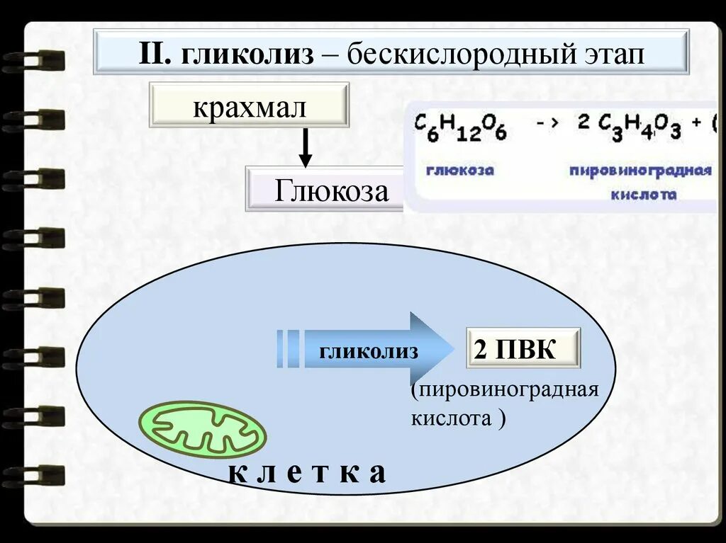 Гликолиз ПВК. Гликолиз бескислородный этап. Этапы анаэробного гликолиза. Гликолиз схема.