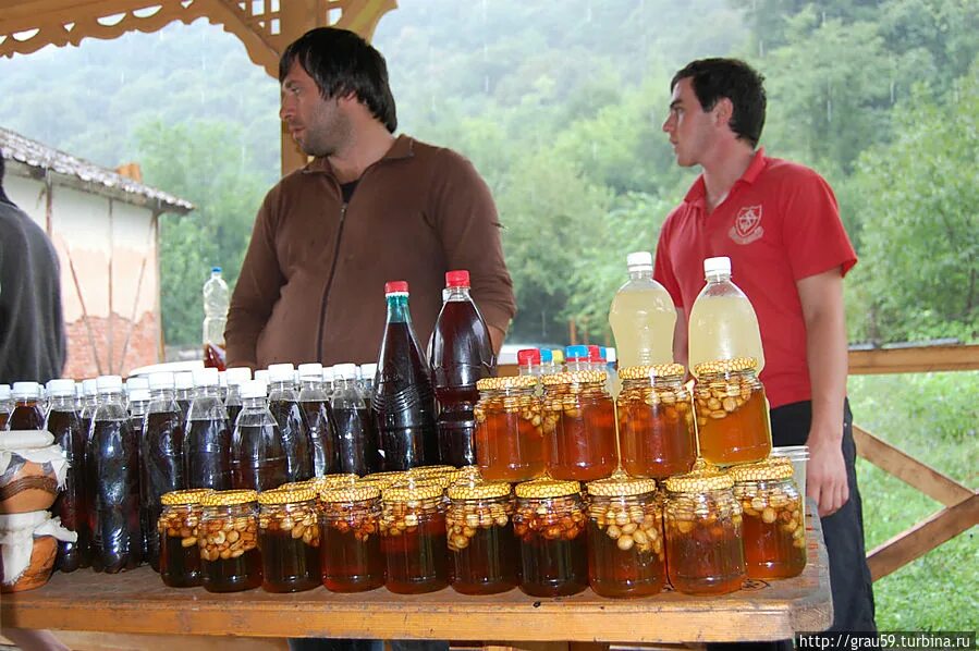 Бортник абхазия
