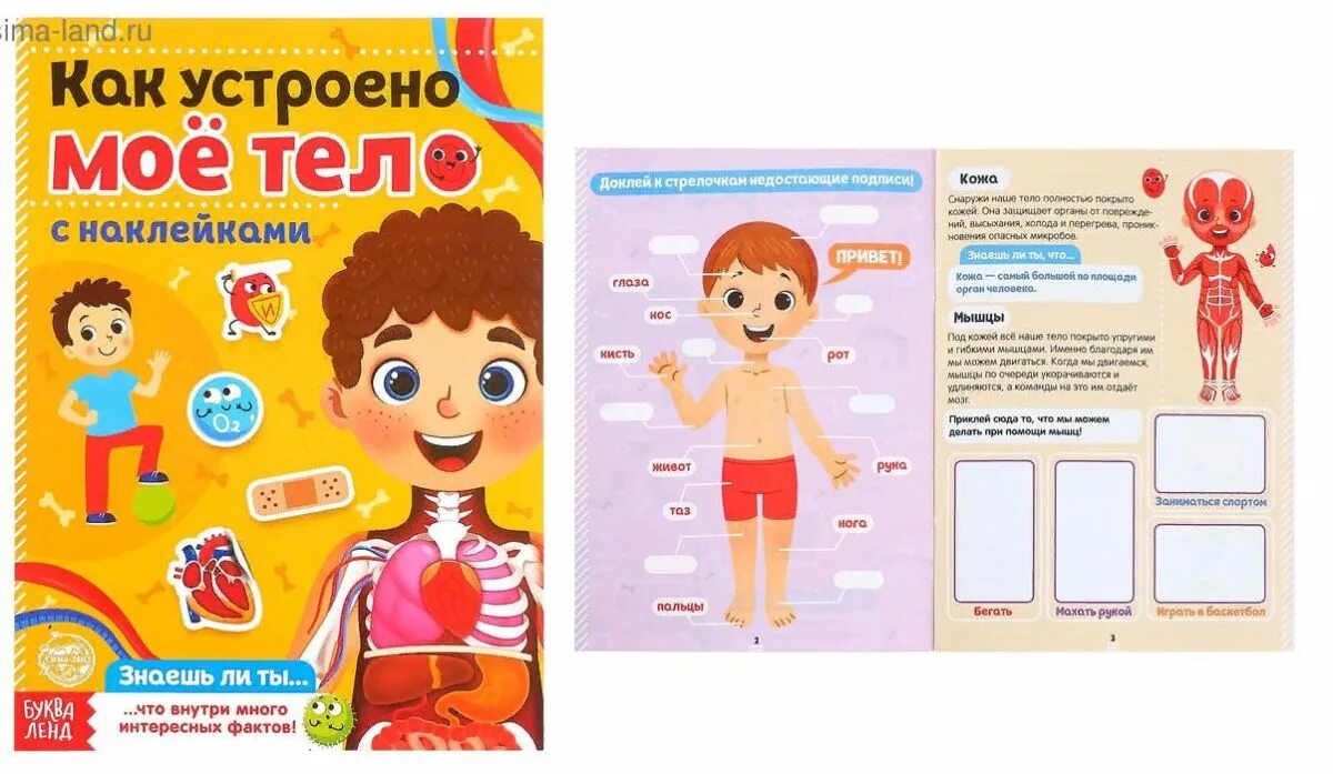 Мы устроим мое я. Как устроено моё тело?. как устроено моё тело игра. журнал с наклейками как устроено мое тело. книга мое тело.