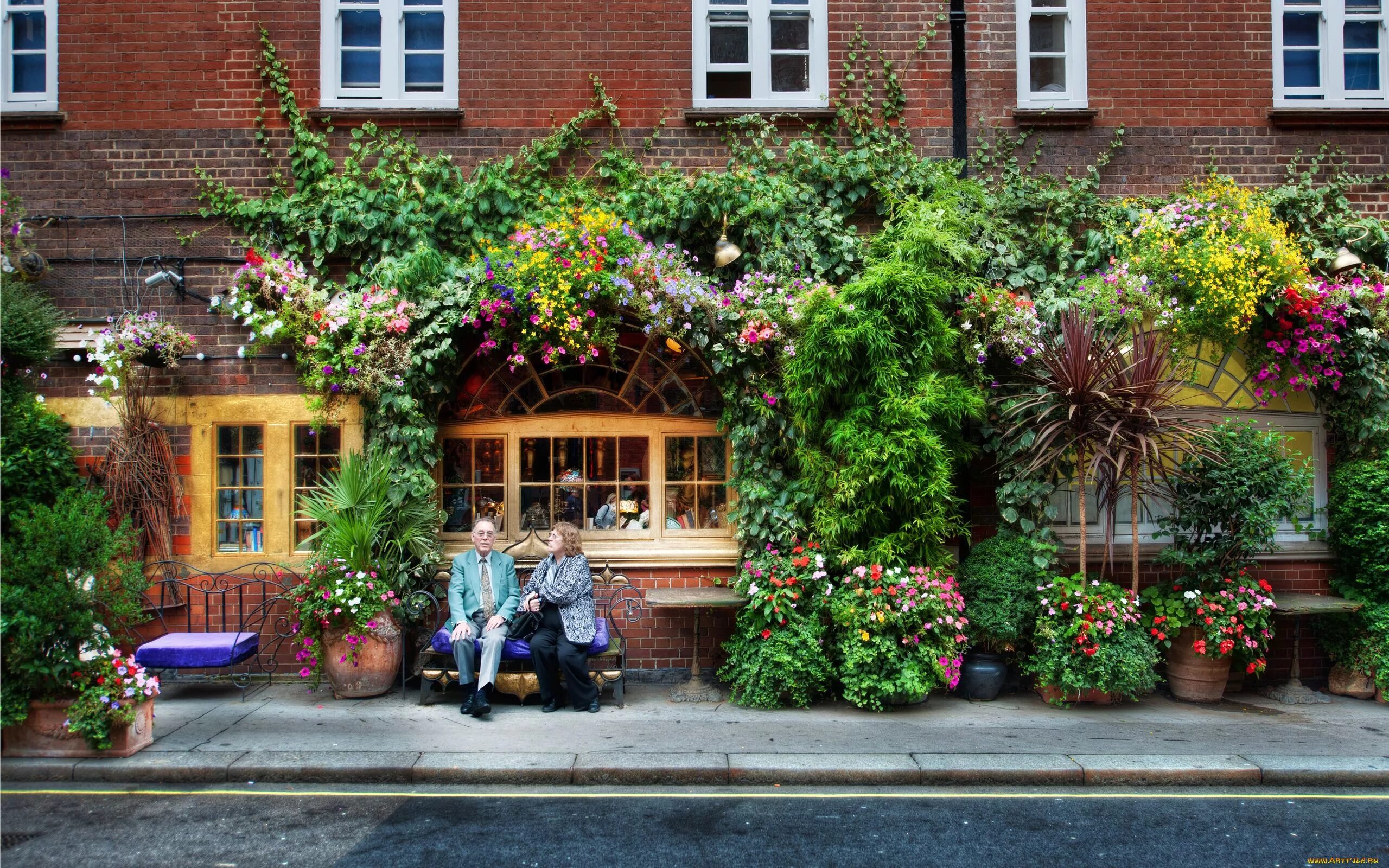 Street of flowers. Уютные улочки. Улочки Англии. Уютный дворик. Уютные улочки Англии.