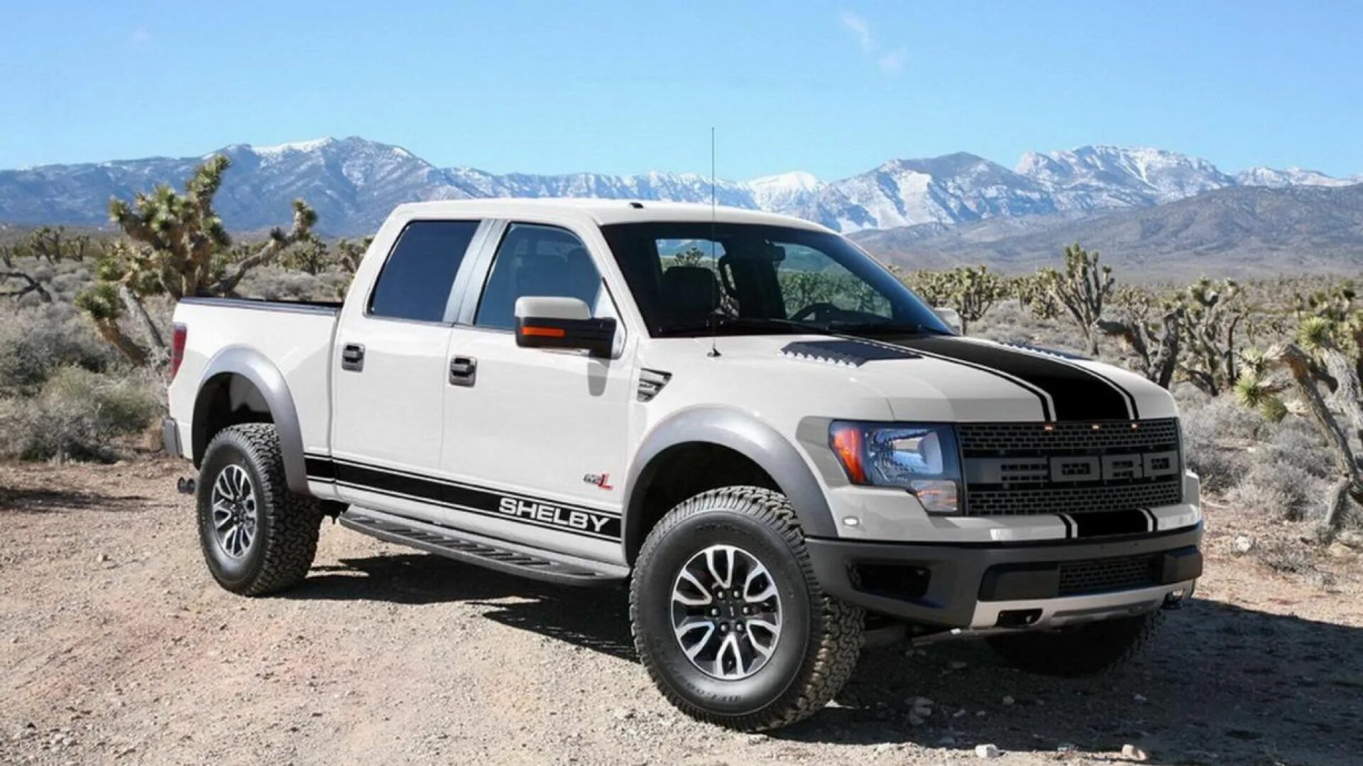 Ford f150 raptor 2010. Форд ф 150 раптор шелби. Ford raptor shelby baja. Shelby raptor. Shelby raptor.