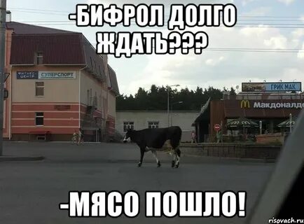 Ах свежее мясо