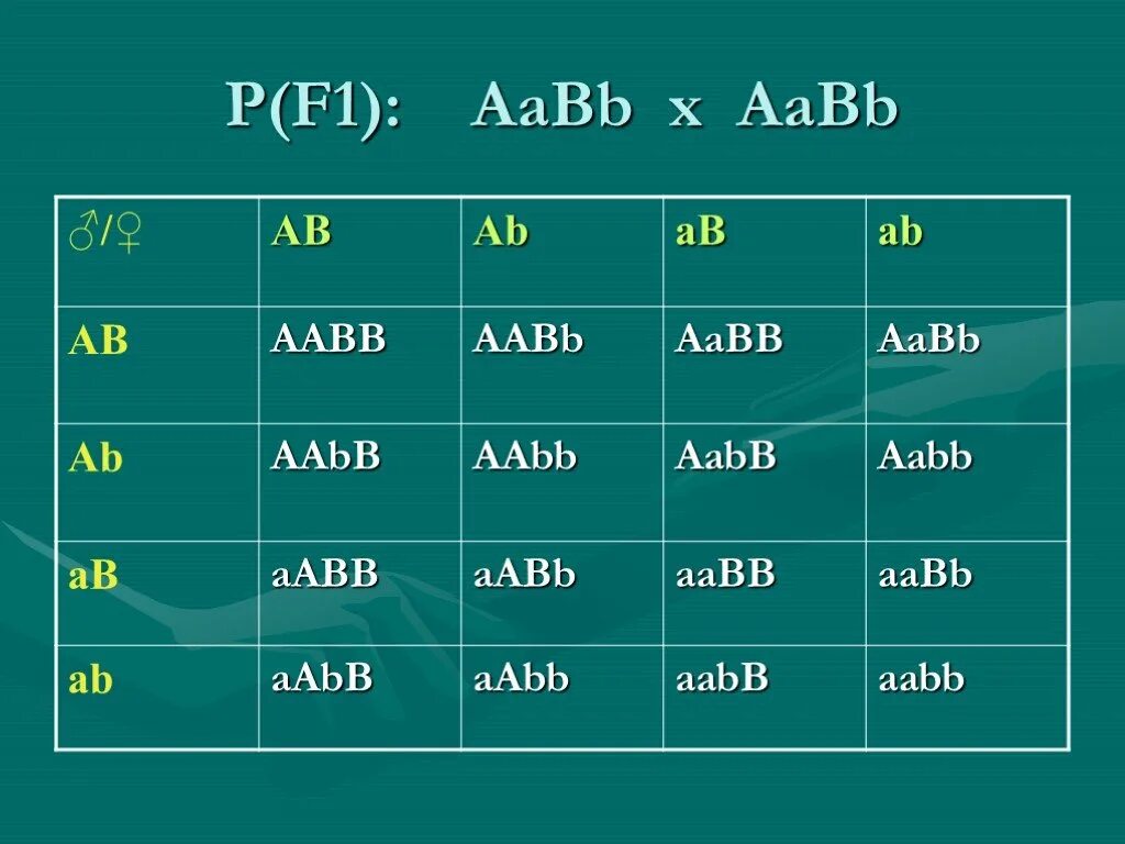 Aabb aabb соотношение генотипов. AABB AABB скрещивание таблица. Аабб аабб. Биология AABB AABB. AABB X AABB.