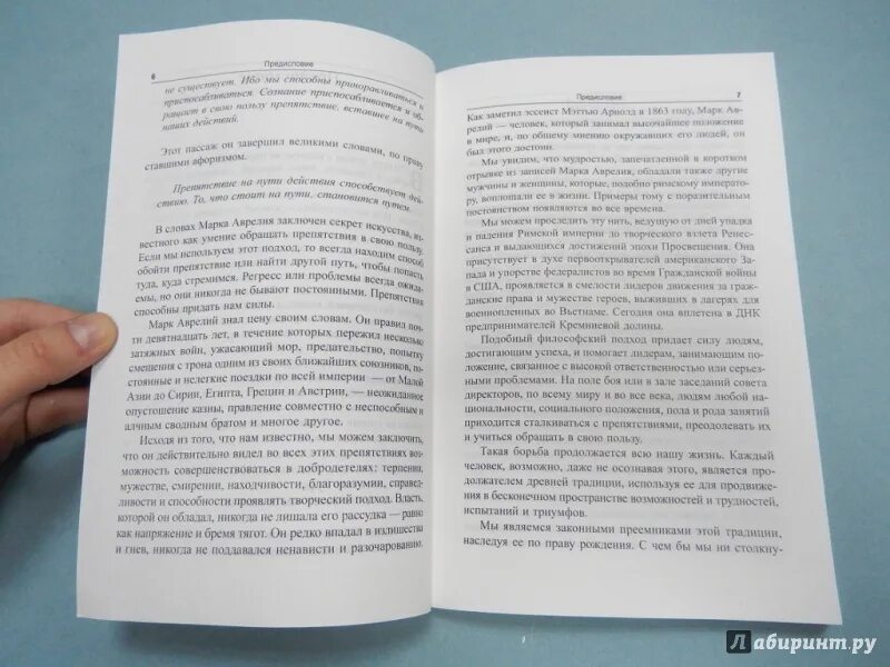 Холидей препятствия как путь. Как решают проблемы сильные люди книга. препятствие как путь райан холидей. райан холидей книги. как решают проблемы сильные люди.