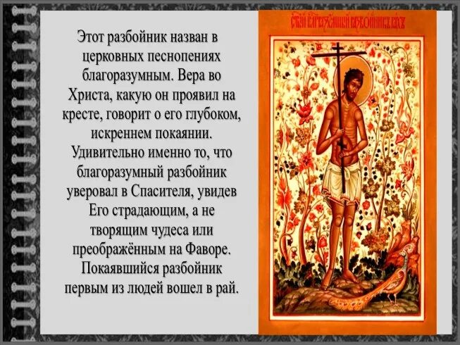 Ходовитые разбойнички значение