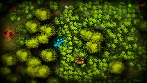 Трава цветы игры
