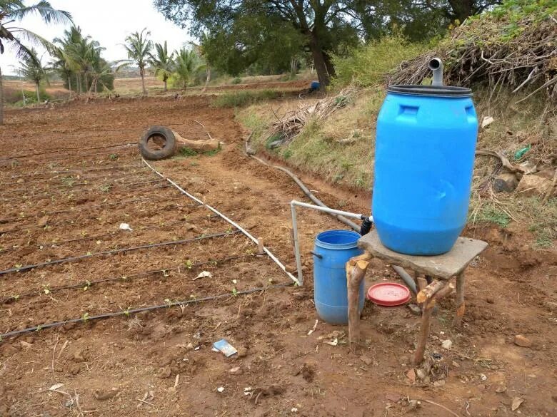 Какой должна быть вода для полива. Система капельного полива для теплицы из бочки. Перистальтический капельный полив. Самотечный капельный полив. Капельный полив система емкость.