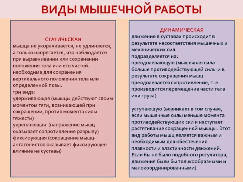 Чем отличается статика от