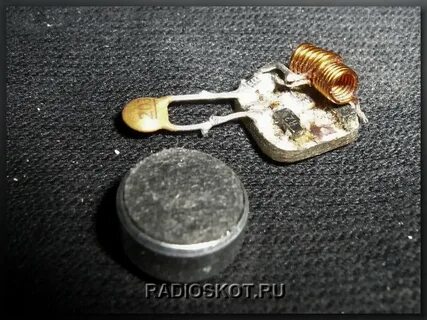 Как выглядят жучки