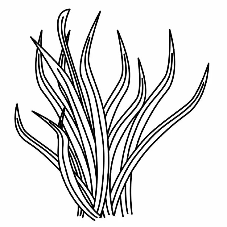 Раскраска травы для детей распечатать Grass Coloring, Download Grass Coloring For Free 2019 BA6 in 2022 Coloring pages