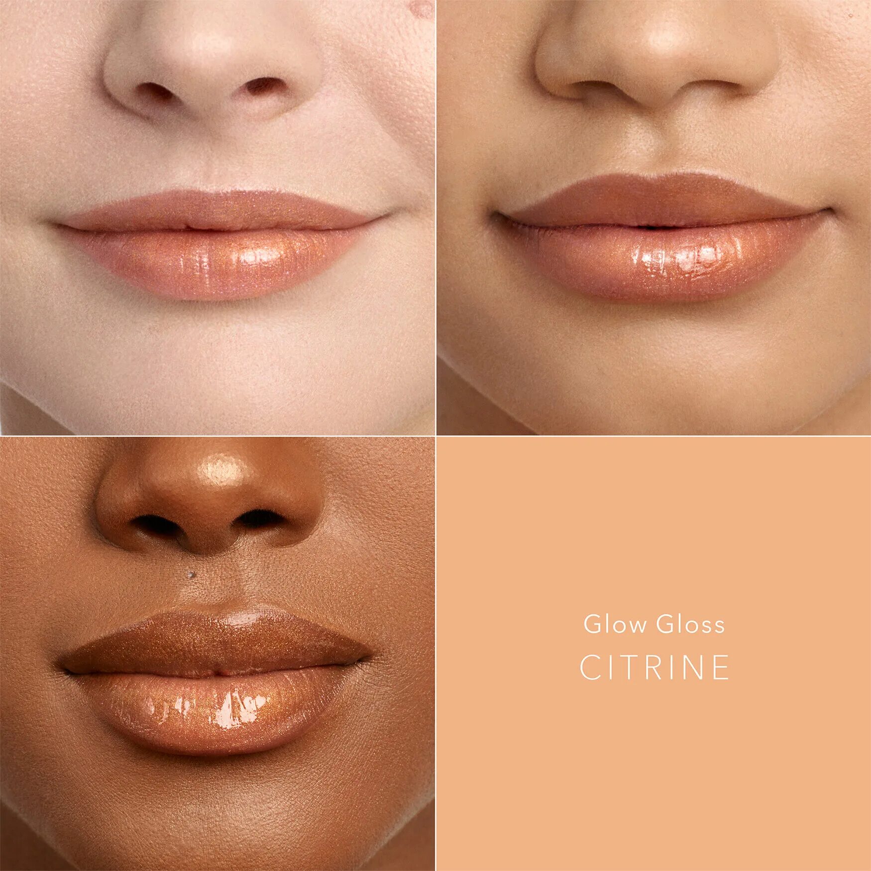 Glossing rose