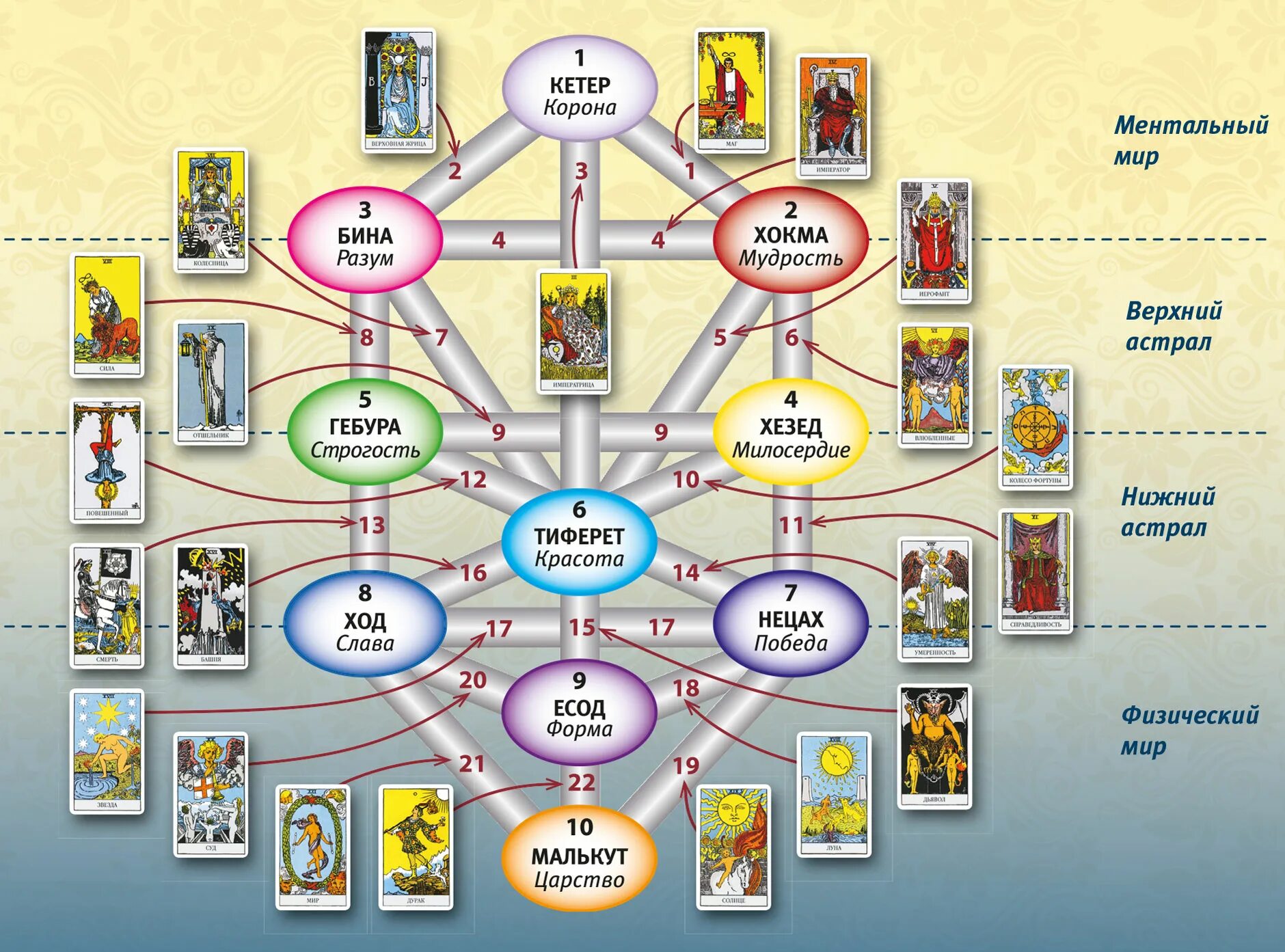 Древо Сефирот и арканы Таро. Древо жизни Сефирот и Таро. Каббалистическое Древо Сефирот. Древо жизни арканы Таро. Древо маг