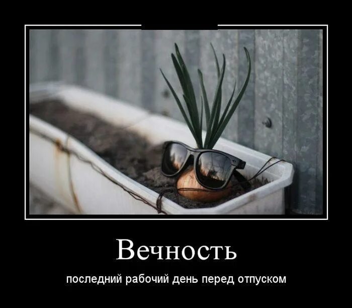 Последняя дата отпуска