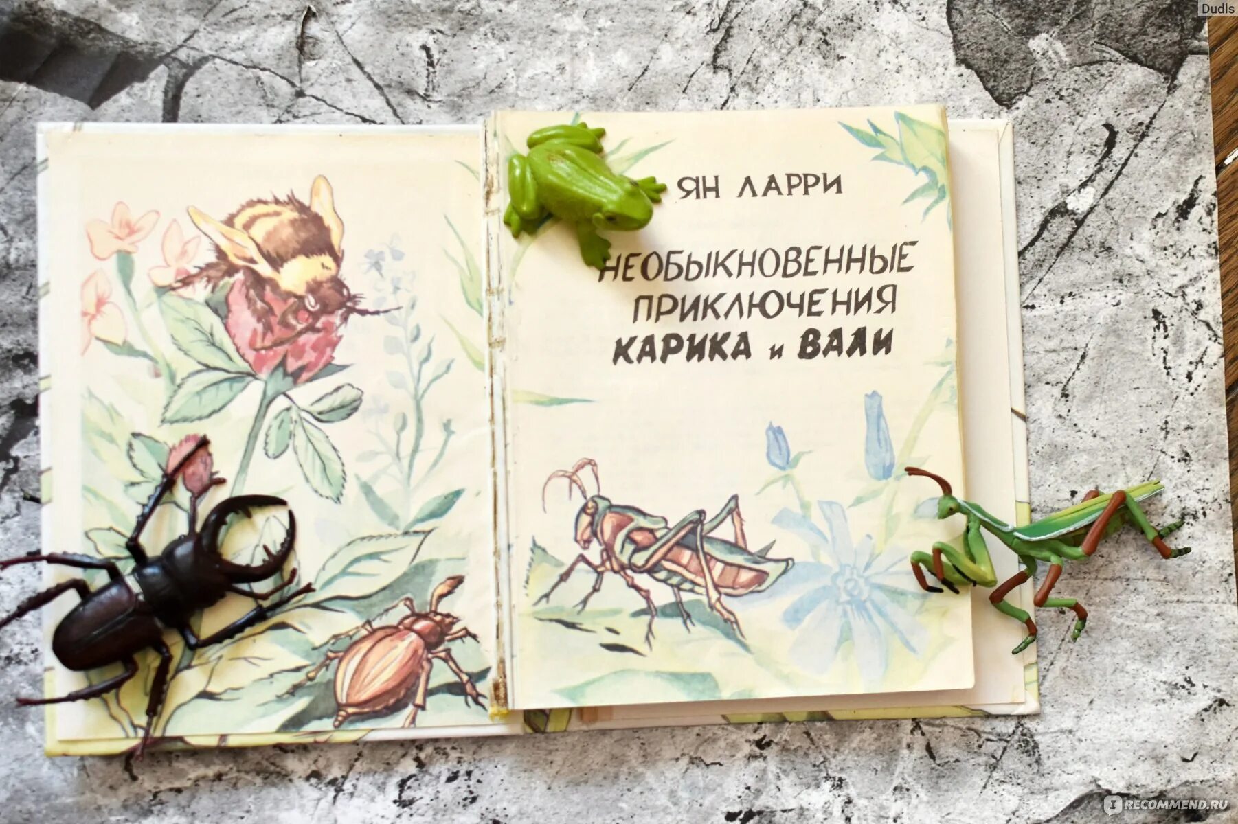 Обложка книги Ларри необыкновенные приключения.