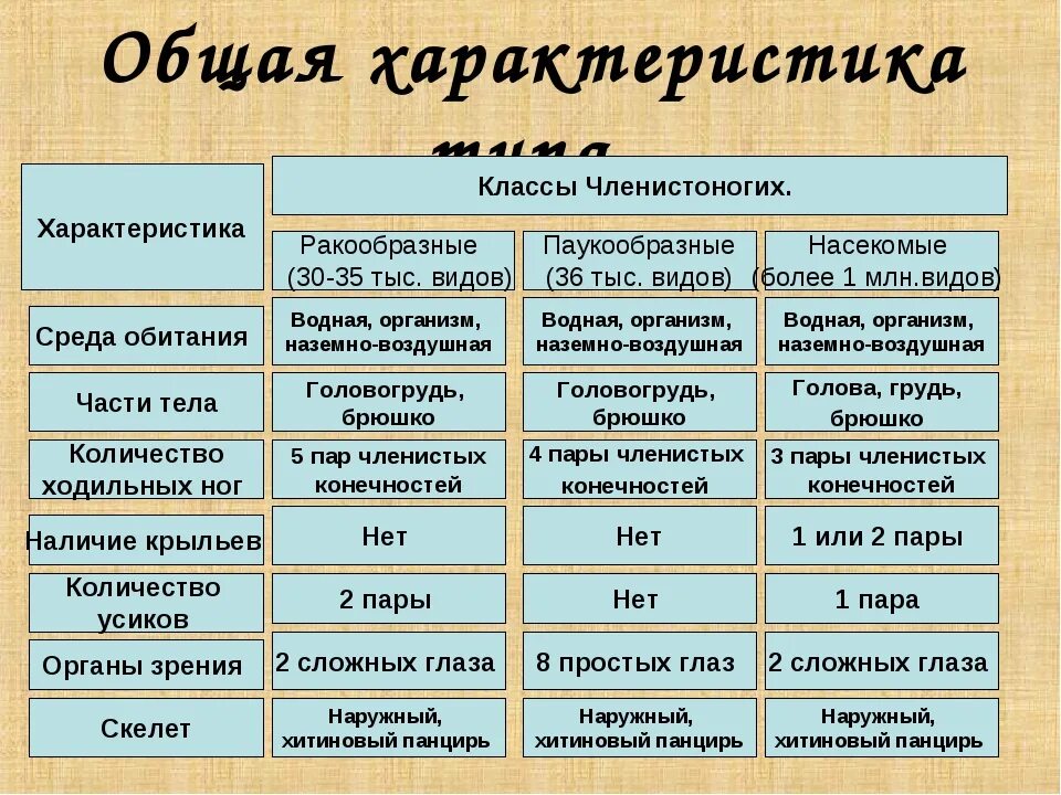 3 класса типа членистоногих. Членистоногие общая характеристика таблица. Характеристика класса членистоногих 7 класс. Тип Членистоногие общая характеристика таблица. Характеристика типа членистоногих таблица.