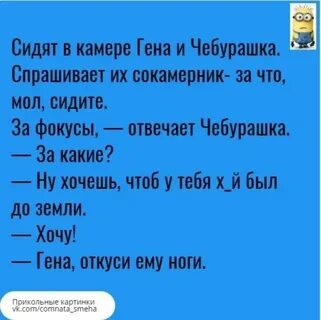 Смешные анекдоты про крокодила гену