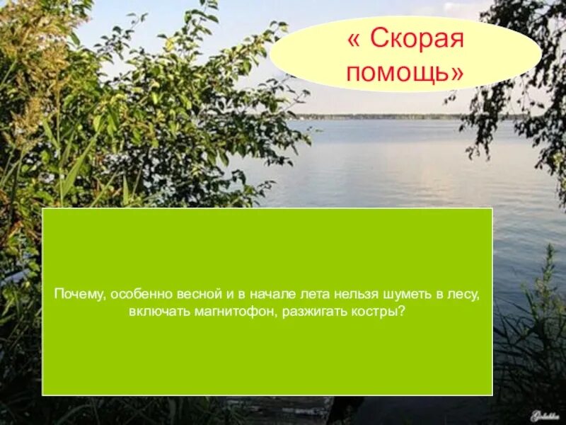 Почему весной запрещена. Почему весной нельзя шуметь в лесу. Почему весной и в начале лета нельзя шуметь в лесу. Особенно весной. Почему нельзя громко шуметь в лесу особенно весной и в начале леса.