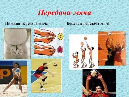 Нижний прием передачи мяча в волейболе