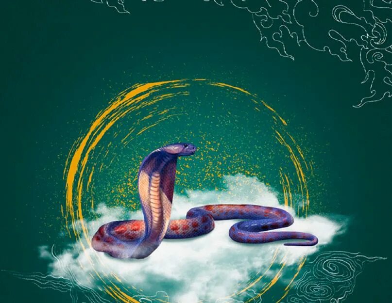 водолей в год змеи. март водолей. знаки зодиака.