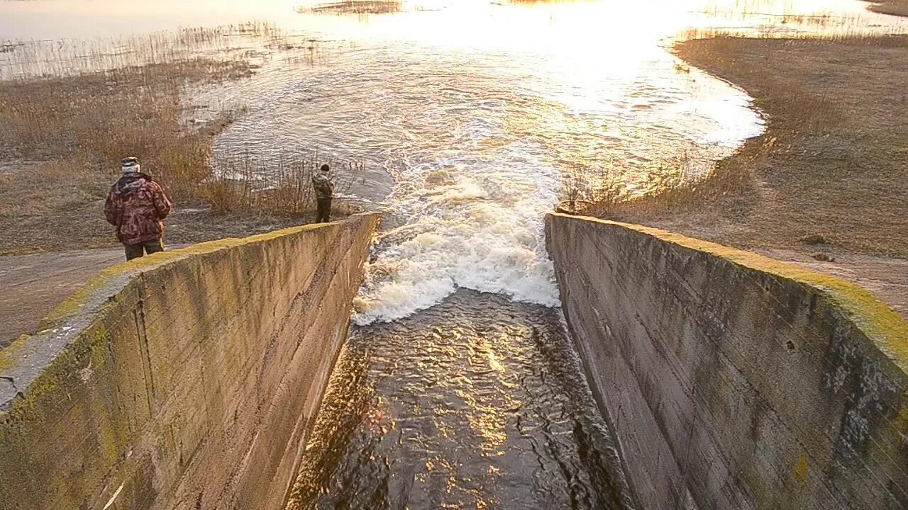 Уровень воды в реке днепр в лоеве. Днепровско-Бугский канал фото.