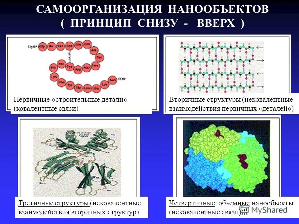 Нековалентные взаимодействия. Примеры нанообъектов. Нековалентные связи вторичной структуры. Принцип снизу вверх нанотехнологии. Принцип снизу вверх