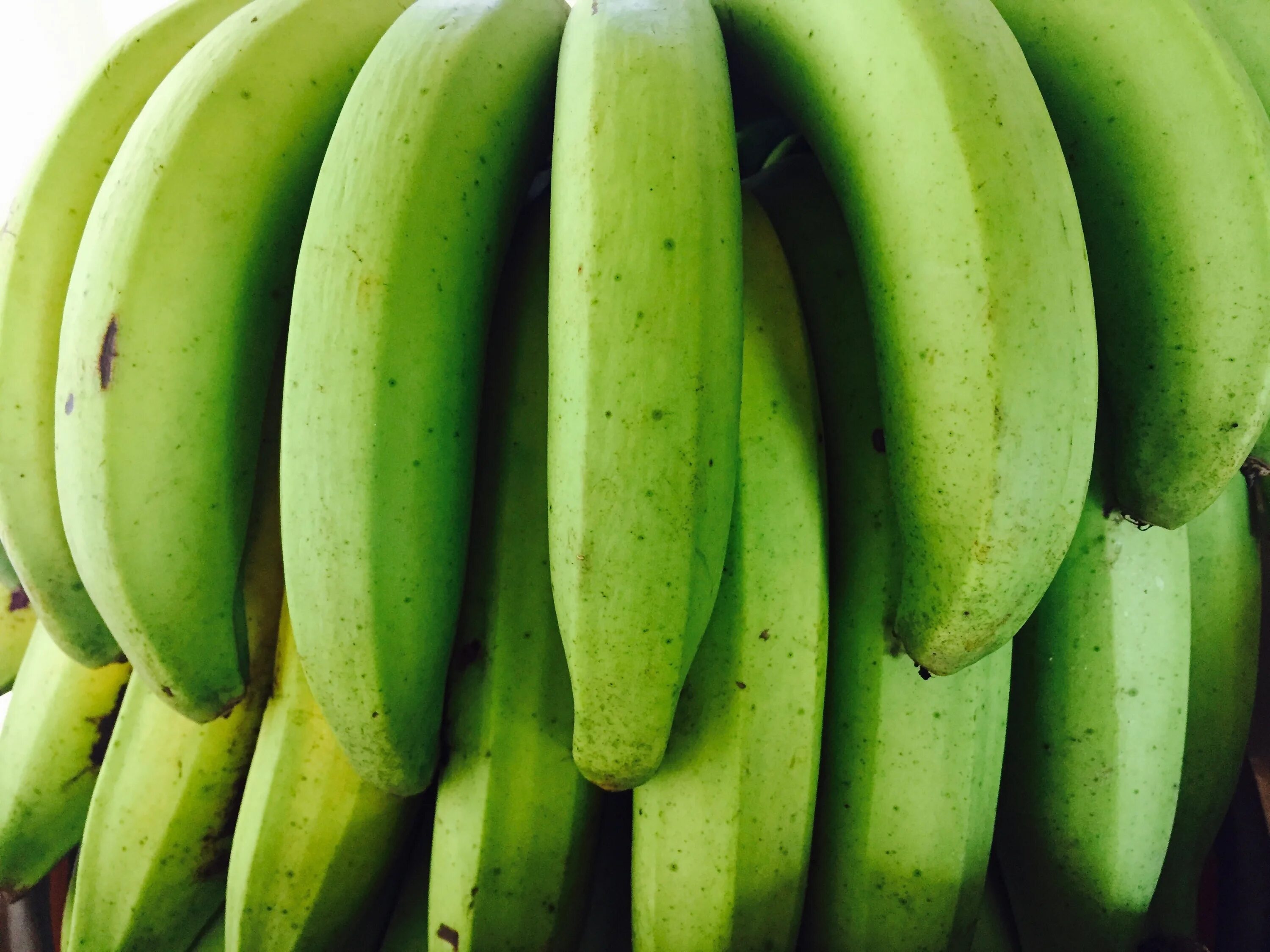 Бананы Плантейн. Кавендиш банан. Зеленые бананы. Сорт зеленых бананов.