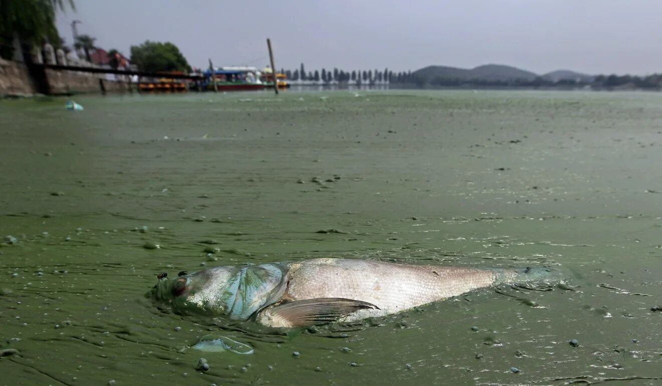 Newstimeswebtv Water pollution, Pollution, Save environment