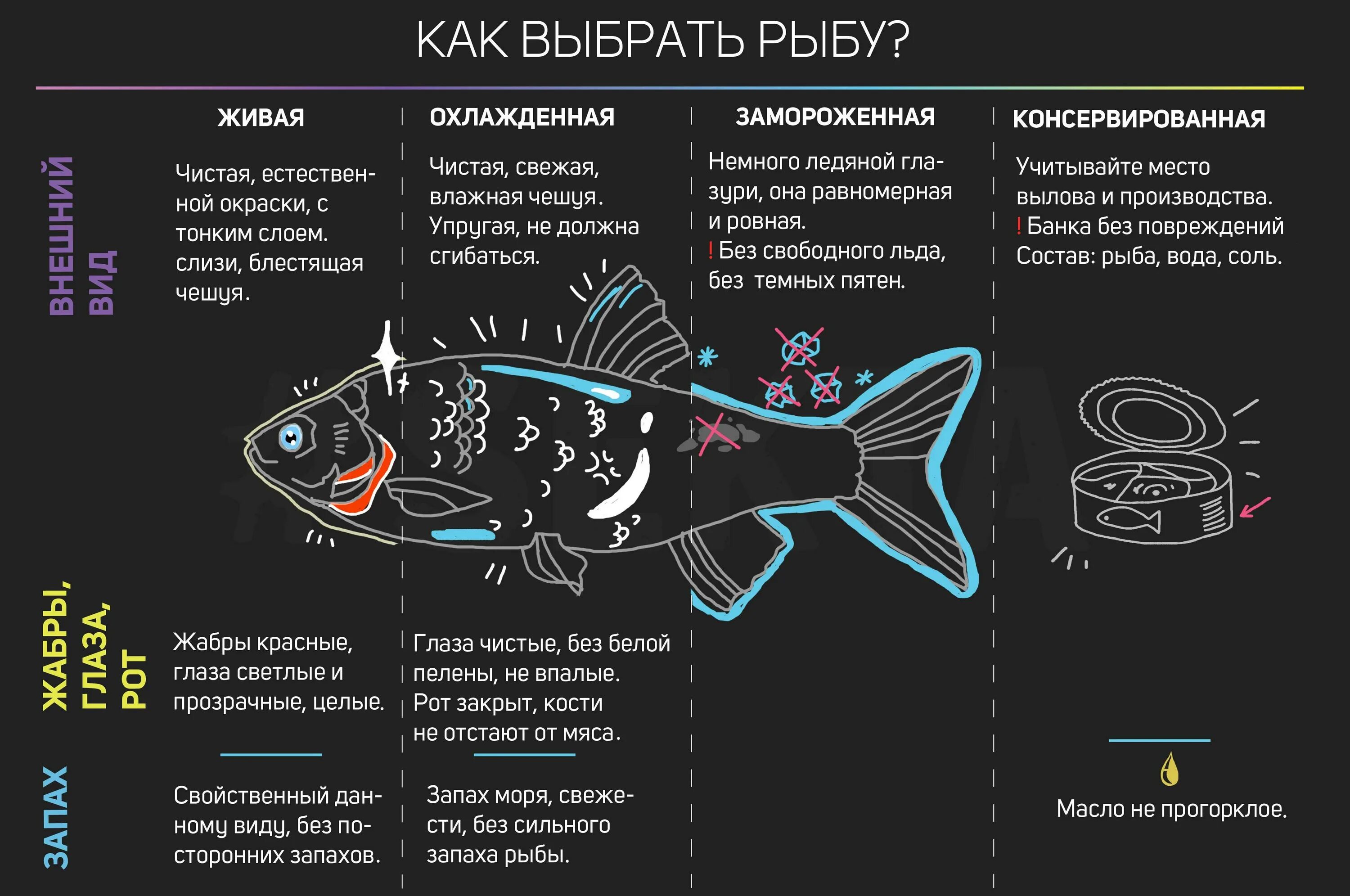 Какая рыба полезна для организма. Инфографика рыба. как выбрать свежую рыбу. уак выбовть свежуюрыбу. польза рыбы.