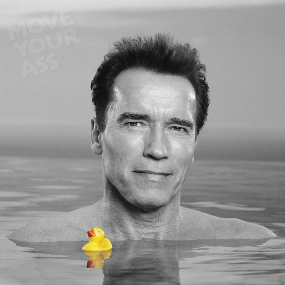 шварценеггер смешной. дамы и господа мем шварценеггер оригинал. арнольд шварценеггер мем. дамы и господа мем шварценеггер оригинал. дамы и господа мем шварценеггер оригинал.